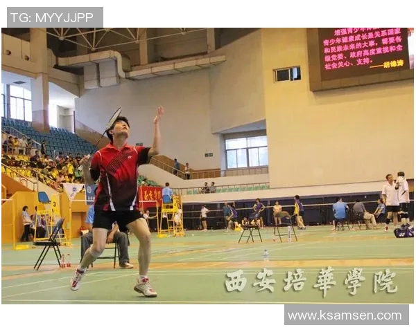 南京羽毛球队精英赛战术分析与表现评估探讨