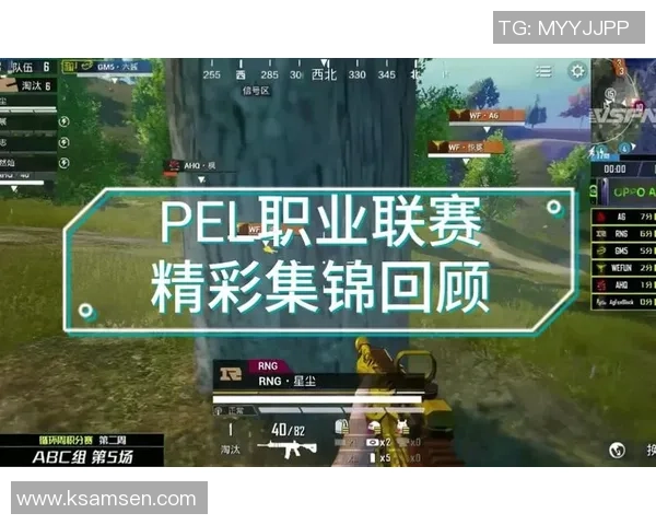 和平精英巨献:深入剖析RNG战队成员的个人能力与战术配合